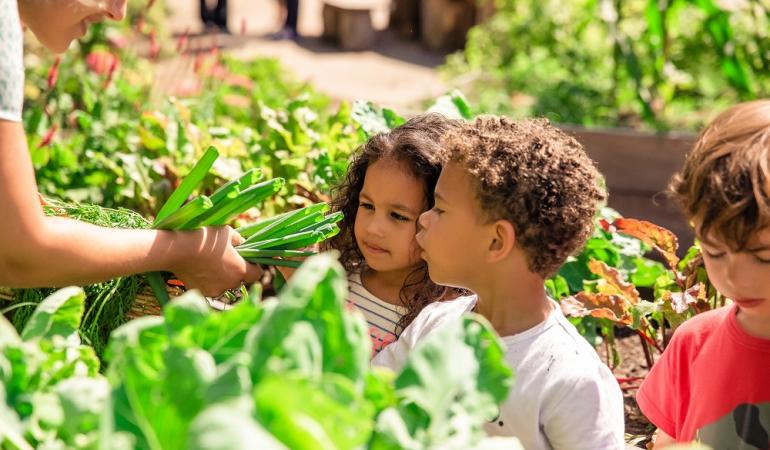 pedagogisch medewerker en drie kinderen moestuinieren  