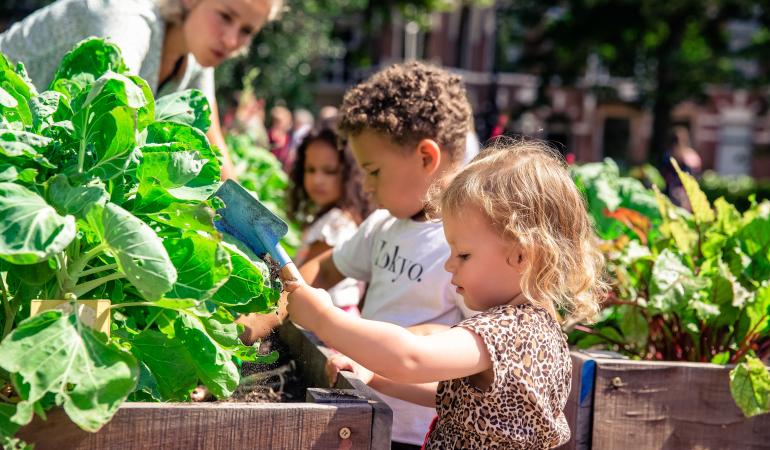 Kinderen in een moestuin.