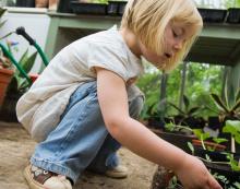 Moestuintje aanleggen uitsnede