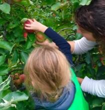 Natureluur plukken