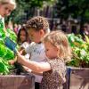 Drie kindjes en een pedagogisch medewerker bij moestuinbakken